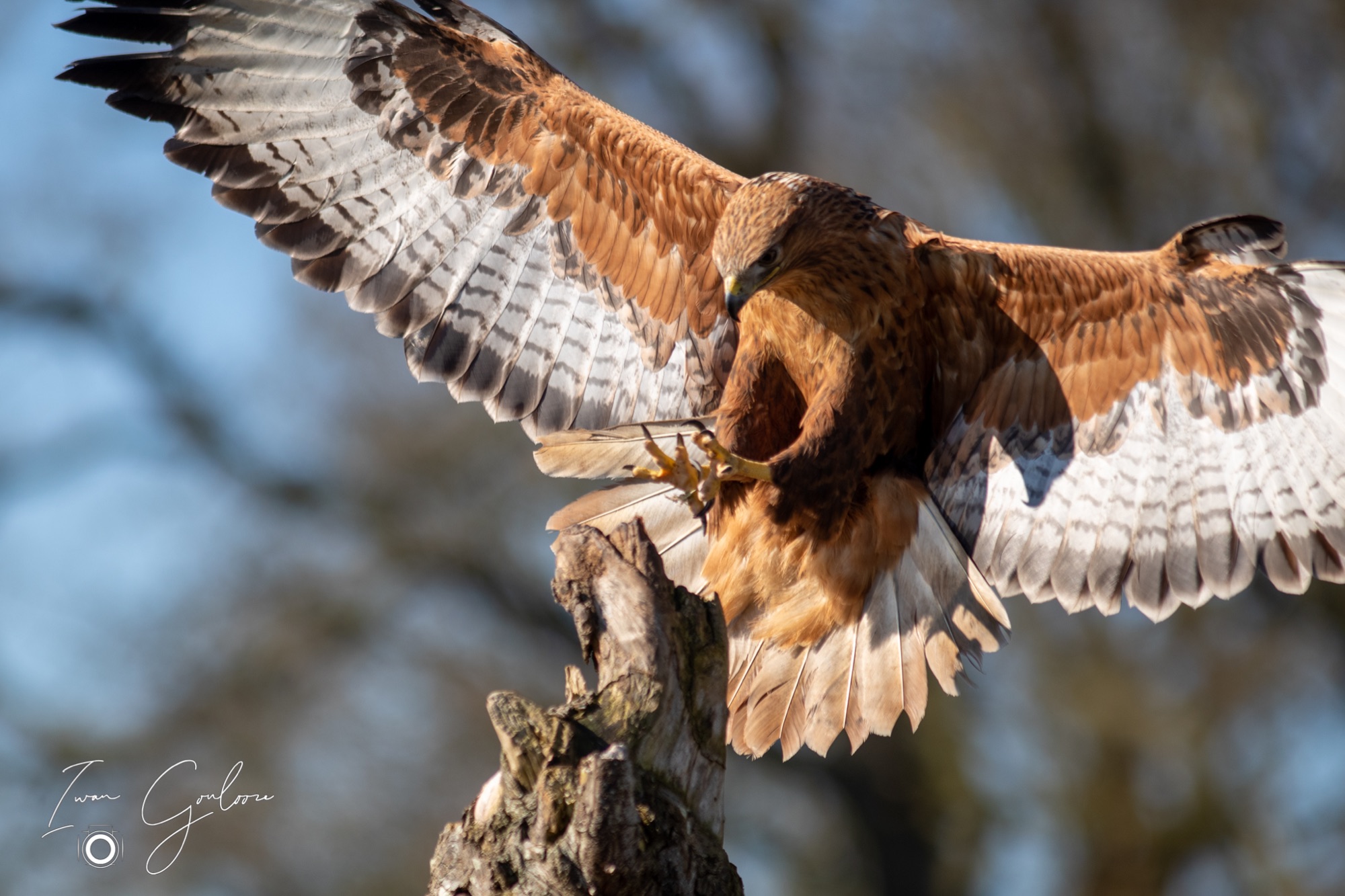 04 maart 2022 150014 1DX43807